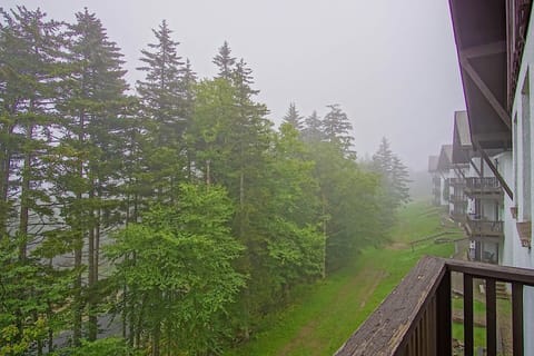 The view from the balcony!