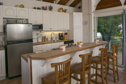 Owner's Suite Kitchen