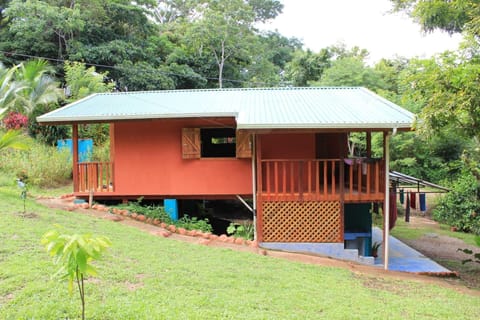 No Snow Casa