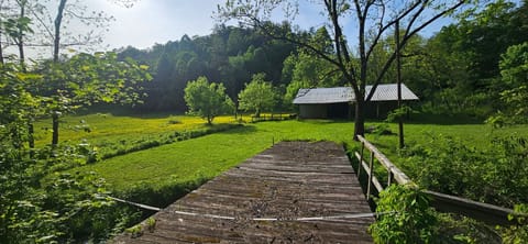 View the barn with horses in the field from the front porch.