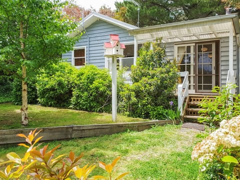 front aspect in spring