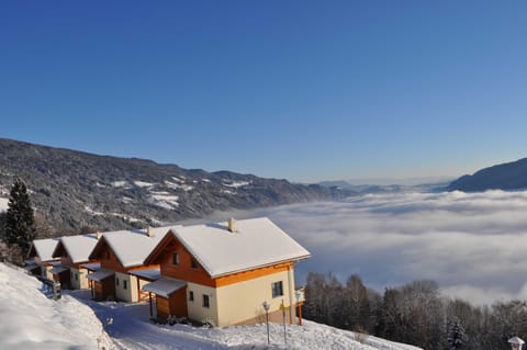 Mathiasl wellness holiday homes Chalet in Carinthia, Austria