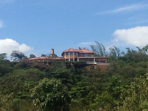 Your view, of the home, coming up the driveway.