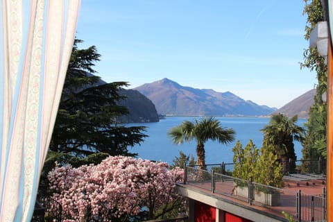 view from the living