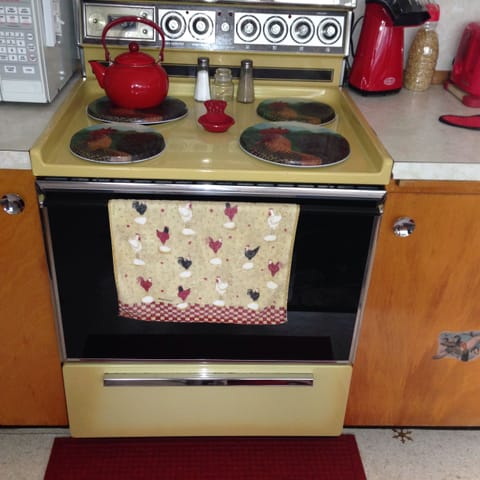 Electric stove 