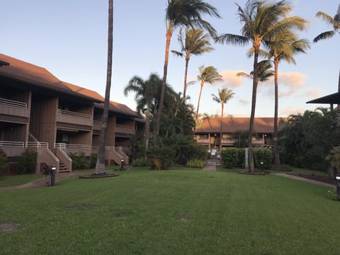 Kihei Bay Vista D-209