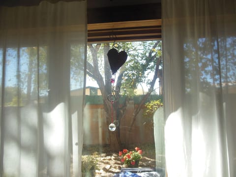 rainbows and gardens