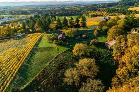 The heart of the Willamette Valley. Pinot Vista is like no other location you will find.