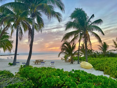 Step out your door to THIS! There's a beach on the right side too!