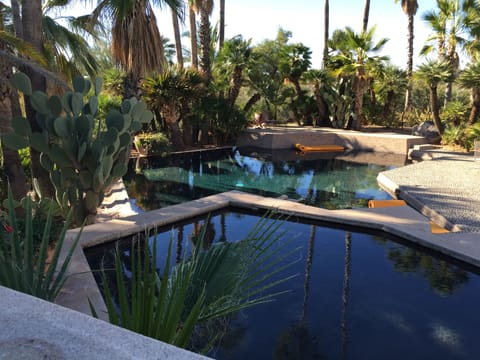 View of wading pool and larger zero edge pool in background surrounded by palms