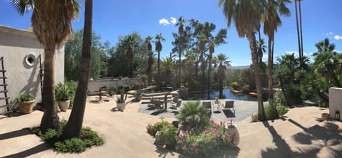 Panorama of pool area with tropical planting, black bottom, zero edge pool.