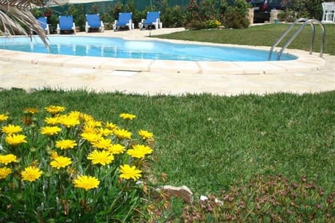 Swimming pool and garden