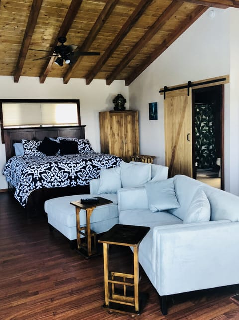 Studio living room with king size bed