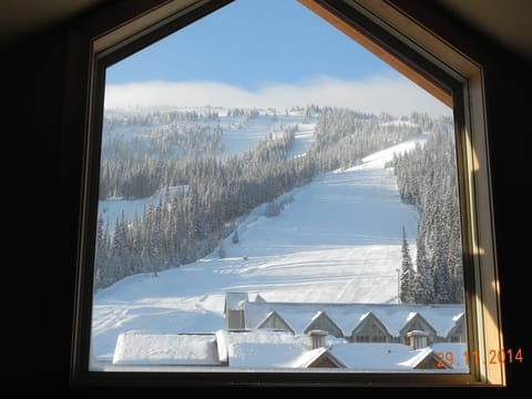 Winter view of the Okanagan Run.