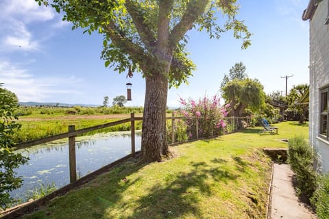 River Cary from garden