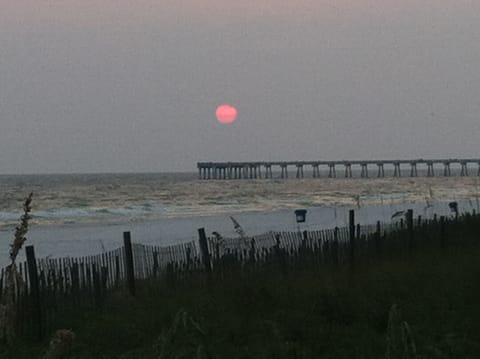 Beautiful Sunset !