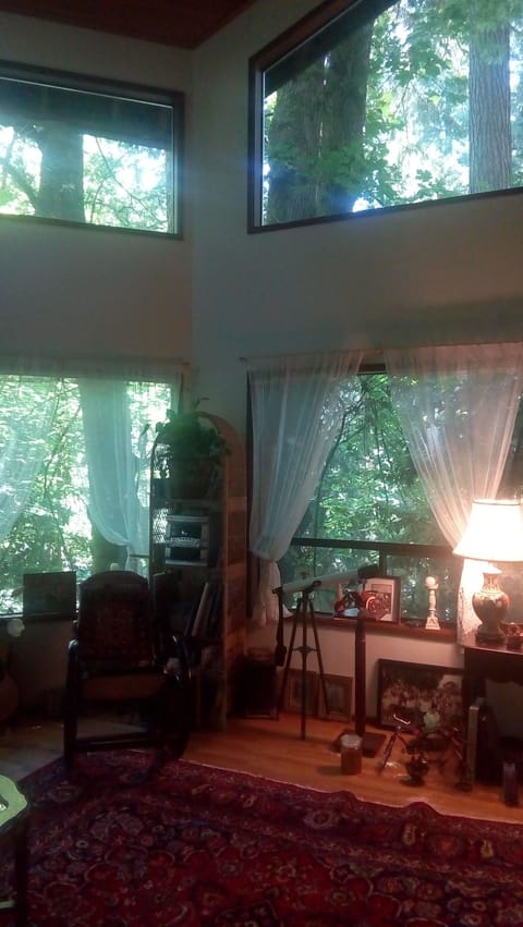 Living room with dramatic windows