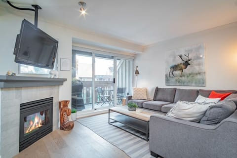 Living area: Pull-out sofa