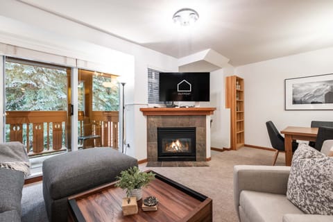 Living area: Pull-out sofa, Gas fireplace, Optik TV