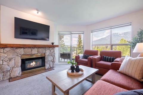 Living area: Pull out sofa