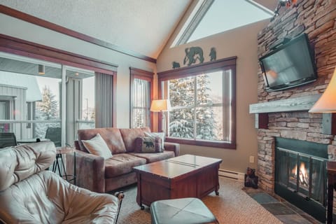 Living area: Pull-out sofa