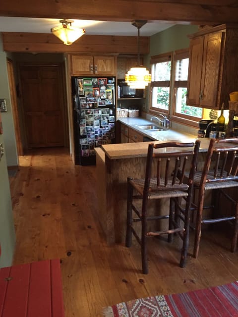 Kitchen and Bar area