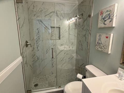 Bathroom - Brand new stand up shower