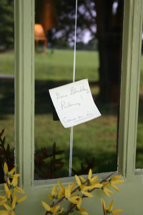 Blackberry pickin' is a great past time here!