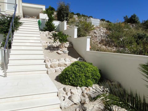 external view