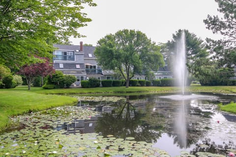 You can see the townhouse and deck overlooking the pond and fountains.
