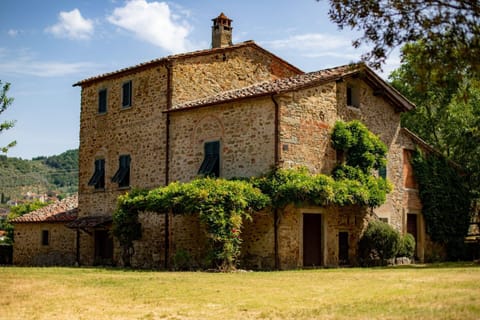 Plant, Building, Sky, Cloud, Window, Tree, House, Land Lot, Door, Cottage
