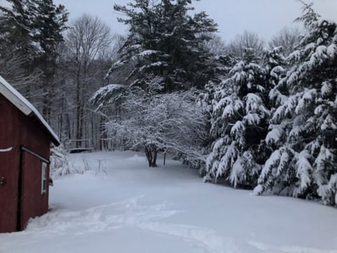 Backyard in the winter.
