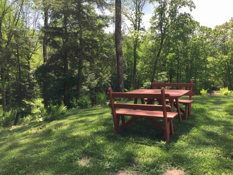 Nothing like dining in the great Catskill Mountain outdoors!