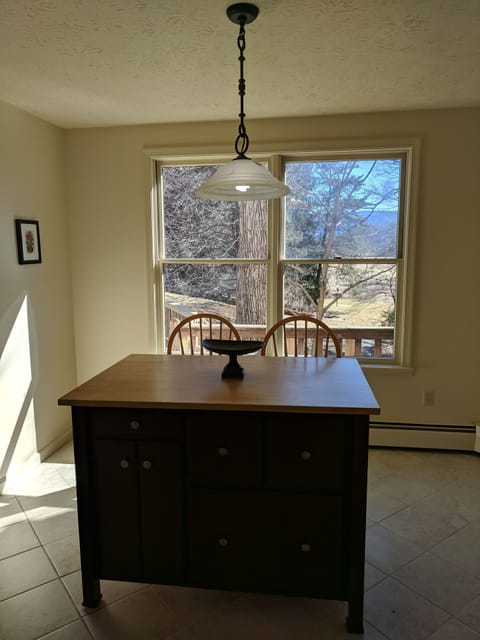 This is the island in the kitchen. Look at that view!