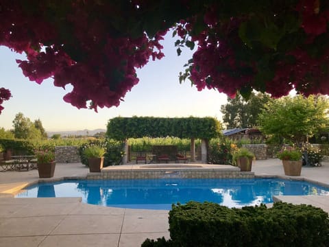 Enjoy a game of pool volleyball in the sports pool