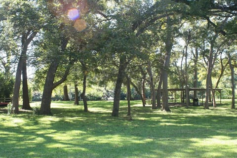 View from deck of house down to the river.