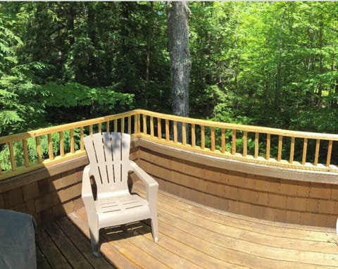 Beautiful woodsy view from deck with grill and chairs