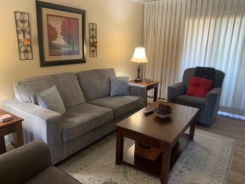 Living Room with Queen Pullout couch
