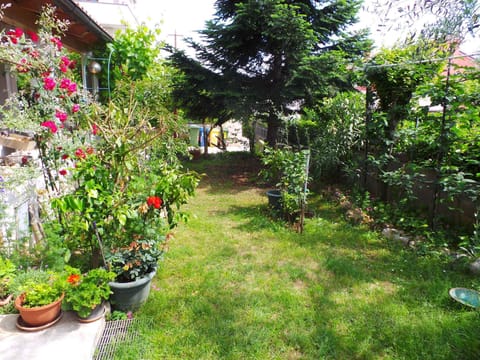 garden