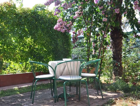 terrace