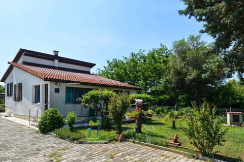 external view