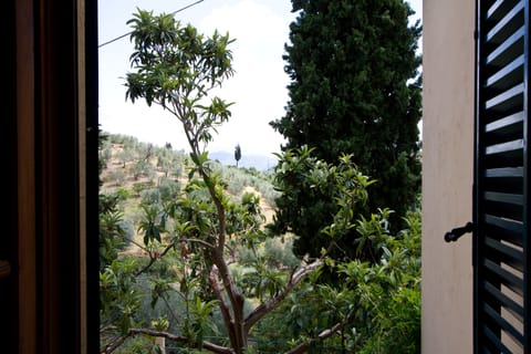 View from the Second Bedroom
