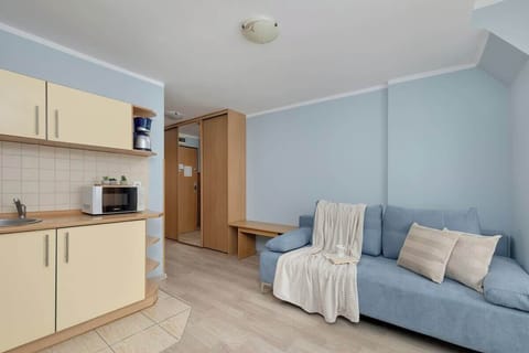 A wide view of the studio layout, displaying the sofa, dining area, and kitchen. The grey and wood tones complement each other.