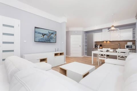 Comfortable, fold-out sofa in the living room. 