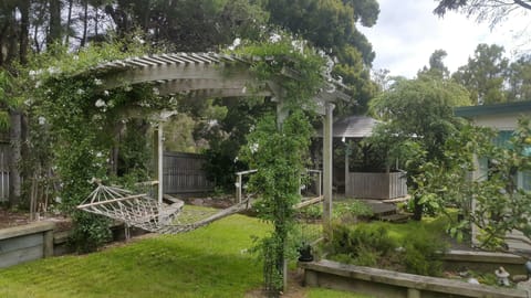 So many choices and every day is different