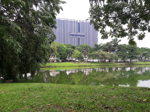 M-city