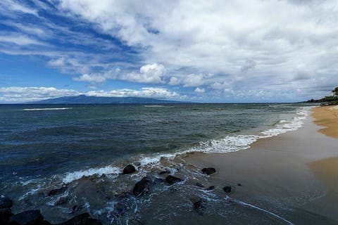 ADJACENT TO THE BEACH