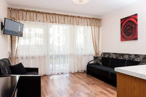 A functional living room space with a sofa bed over which hangs a painting of a red rose.