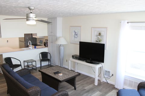 Living room sofa, TV, and dining side chairs.