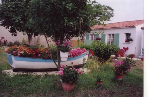 Garden, Park